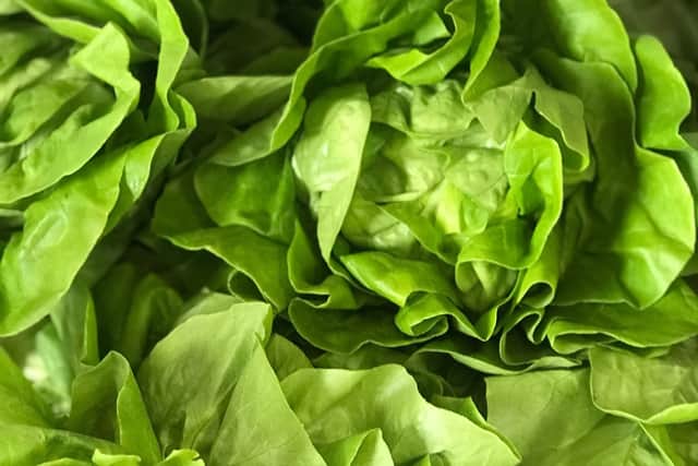 Thanks to the support from local growers such at Barfoots and Goodwood, UKHarvest can provide access to healthy nutritious food.