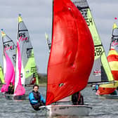 Feva and Ilca Chichester Harbour Series