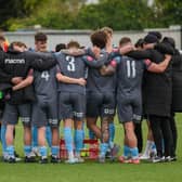Three Bridges fell just short in the FA Trophy