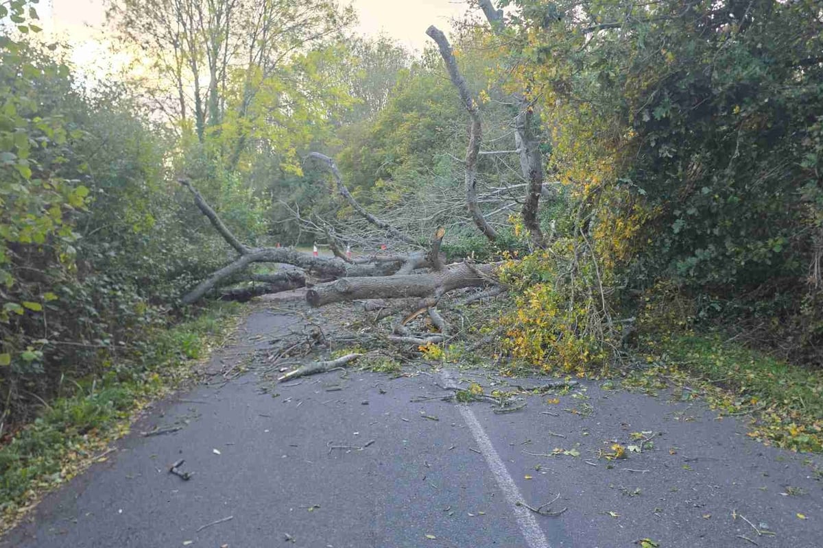 County council responds to impact of storm on West Sussex highways