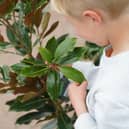Dobbies Little Seedlings Club will explore the journey of leaves at its free November workshop © Stewart Attwood