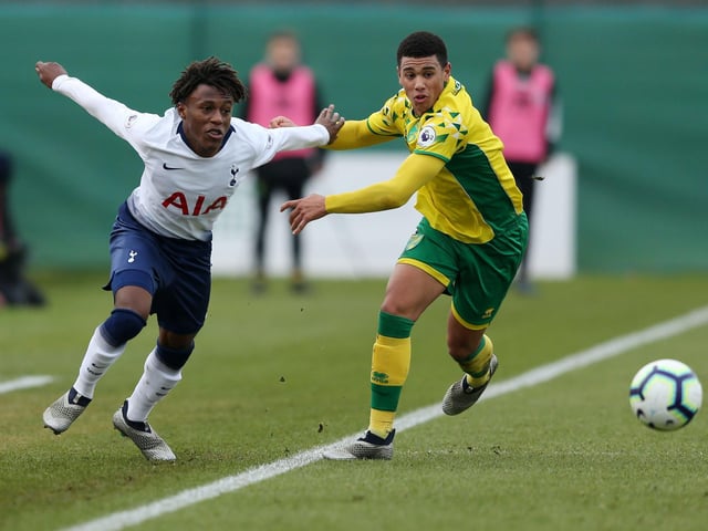 Dunfermline boss Stevie Crawford has confirmed Norwich City loanee Josh Coley is back at Carrow Road after suffering injury. (Various)