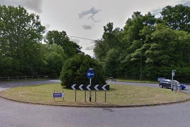 Polly Barnes hopes to decorate the tree on the Worthing Road roundabout off the A24. Photo courtesy of Google Street View