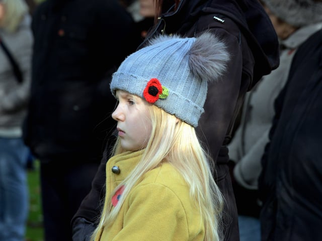 ks190610-42 Chichester Remembrance phot kate SUS-191011-203007008