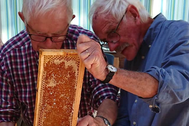 Collecting honey from the beehive frames