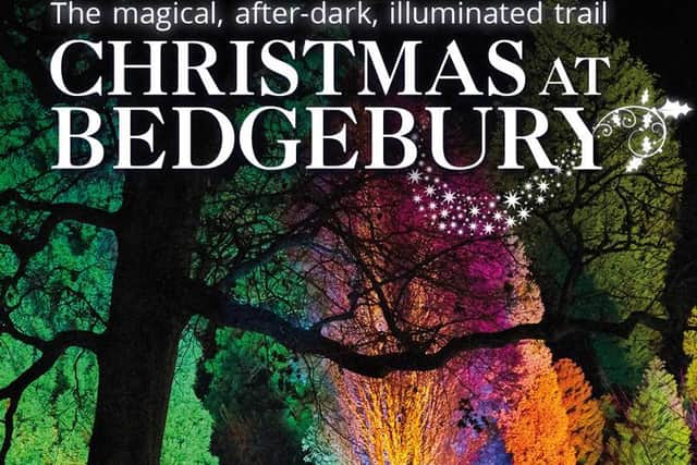 Christmas at Bedgebury returns selected dates from November 22  to December 30, 2019