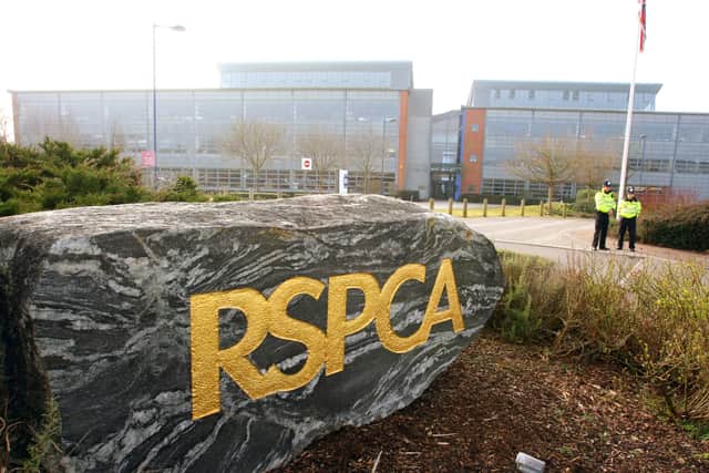 The RSPCA in Southwater. photo by derek martin ENGSUS00120120203161217