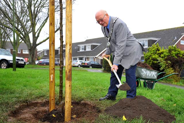 Mr Barton planting the tree