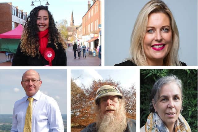 All the candidates running to be the next Mid Sussex MP