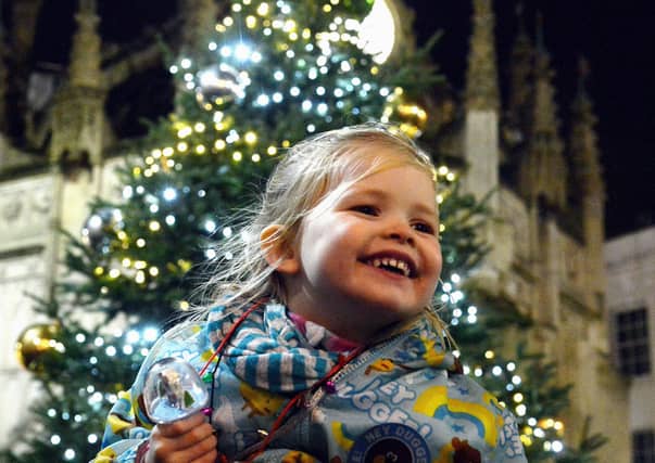The Festival of Light celebration and Parade took place before Chichester's Christmas lights were switched on