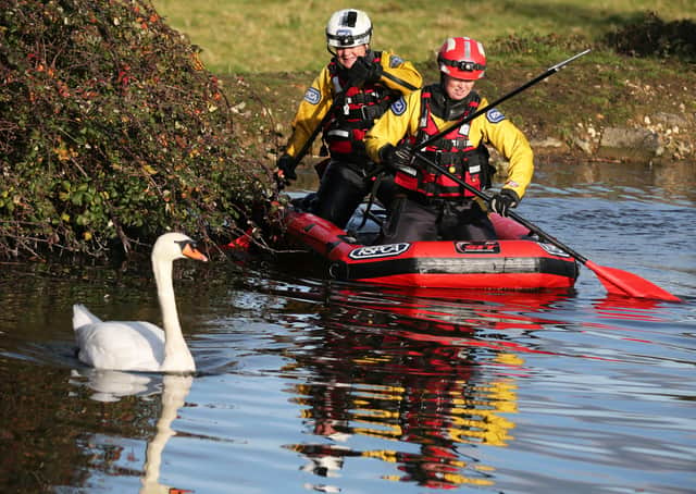 An injured swan has been rescued by the RSPCA and Chichester Canal Trust after a rescue mission lasting several hours. Another swan, also injured, was not rescued before it turned dark so officers will continue their efforts tomorrow (Friday, November 28)