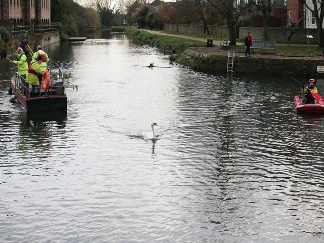 A rescue mission was launched at Chichester Canal this afternoon (Thursday, November 27), after two swans were found shot. SUS-191128-164728001