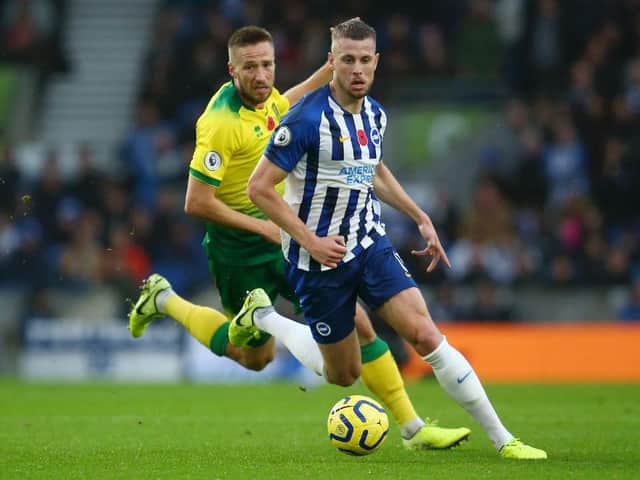Brighton and Hove Albion defender Adam Webster has adapted well to the Premier League following his summer arrival from Bristol City