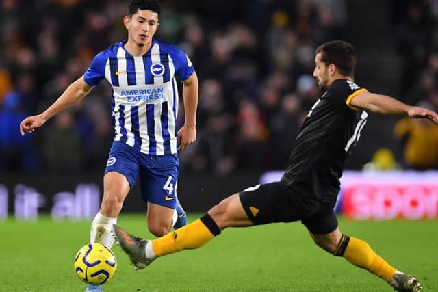 The emergence of Steven Alzate has been a huge plus for Brighton this season