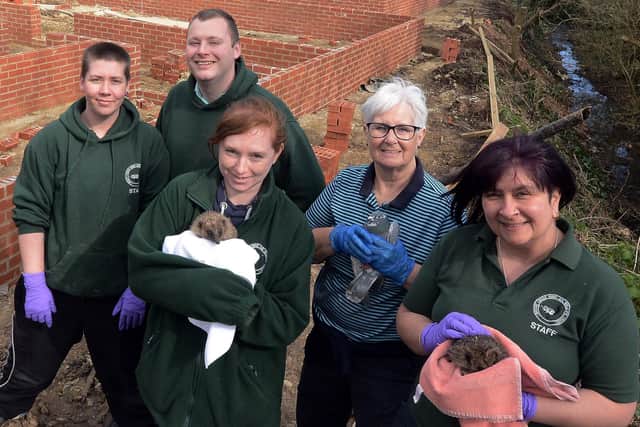 Caring for animals at Brent Lodge Wildlife Hospital in Sidlesham. Picture: Kate Shemilt ks180130-1