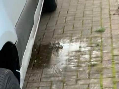 The alleged puddle of urine, as captured by the Krelles on CCTV
