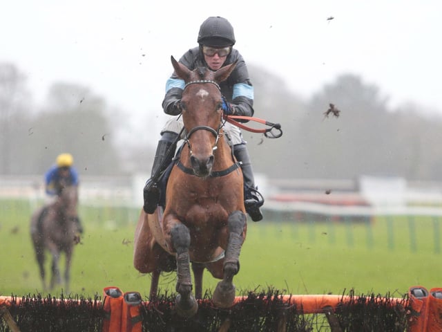 Fontwell Park's Boxing Day jump-racing meeting / Picture: Nigel Bowles