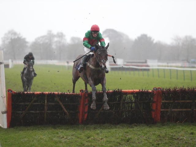 Fontwell Park's Boxing Day jump-racing meeting / Picture: Nigel Bowles