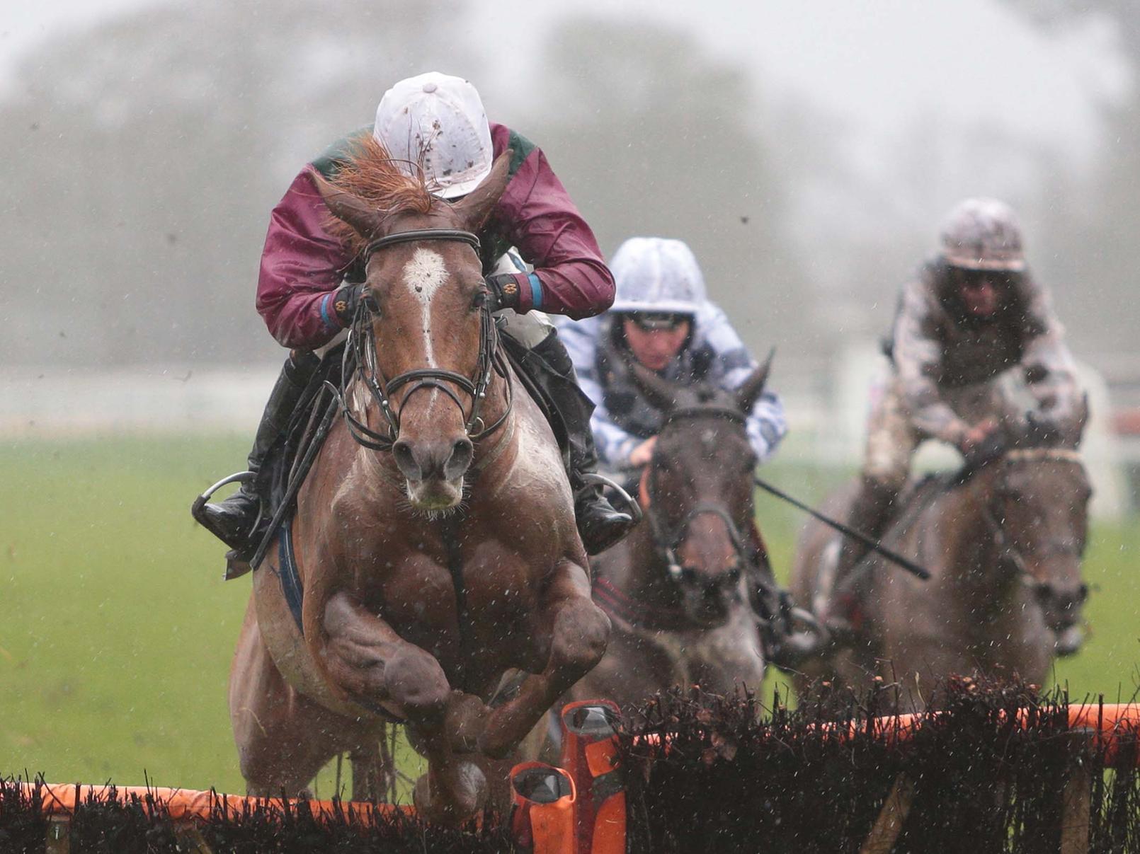 Fontwell Park's Boxing Day jump-racing meeting / Picture: Nigel Bowles