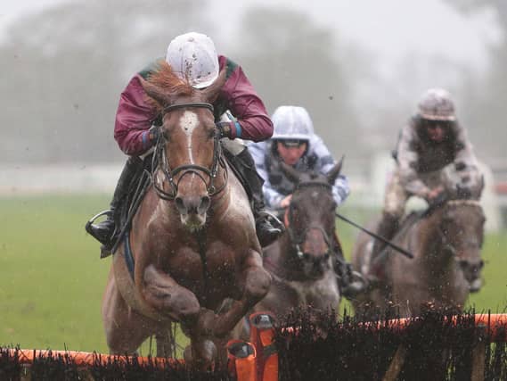 Fontwell Park's Boxing Day jump-racing meeting / Picture: Nigel Bowles