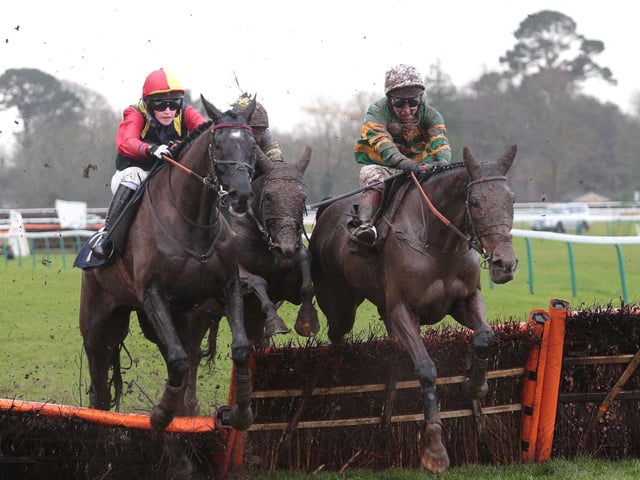 Fontwell Park's Boxing Day jump-racing meeting / Picture: Nigel Bowles