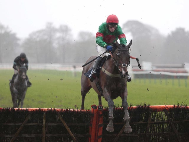 Fontwell Park's Boxing Day jump-racing meeting / Picture: Nigel Bowles
