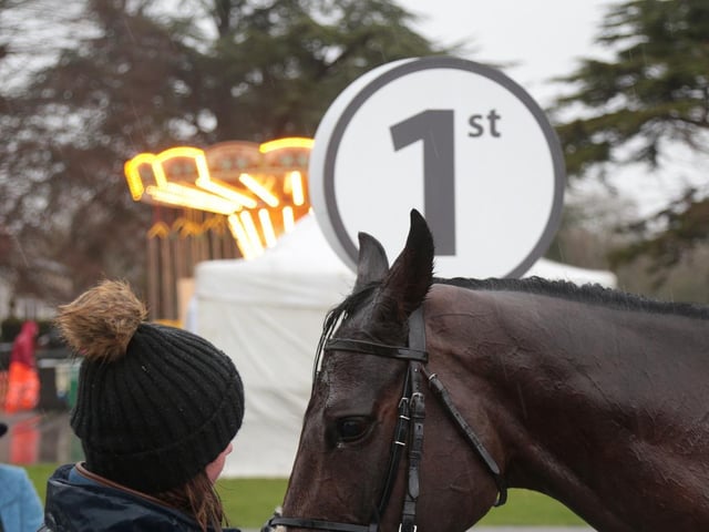Fontwell Park's Boxing Day jump-racing meeting / Picture: Nigel Bowles