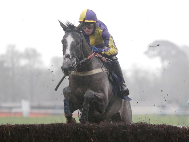 Fontwell Park's Boxing Day jump-racing meeting / Picture: Nigel Bowles