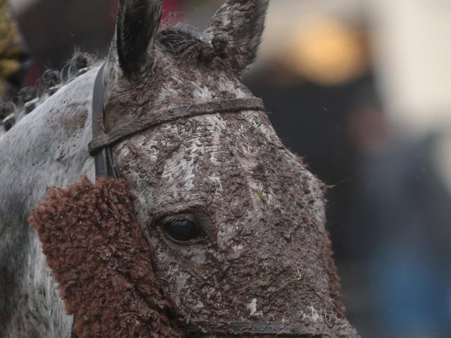 Fontwell Park's Boxing Day jump-racing meeting / Picture: Nigel Bowles