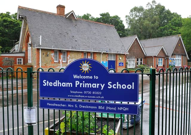 Stedham Primary School, nr Midhurst. Pic Steve Robards SR1918736 SUS-190730-145119001