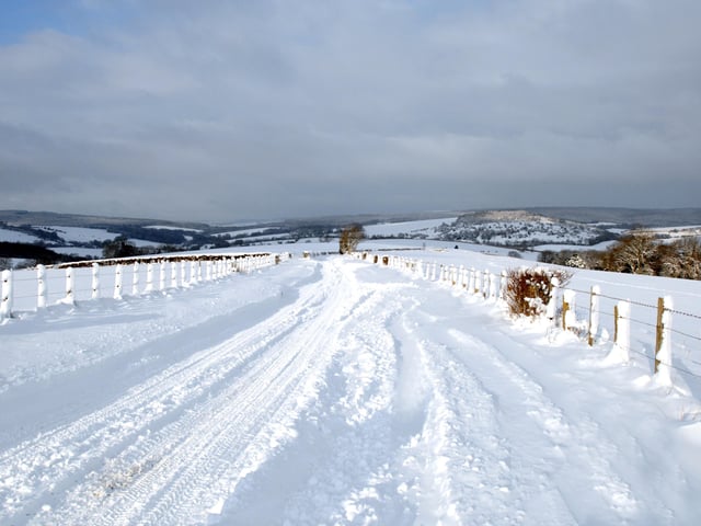 The road to Charlton from Goodwood . Photo Louise Adams