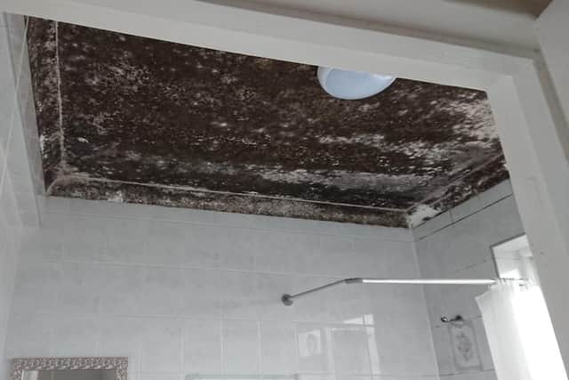 Black moul don the bathroom ceiling. Photo by Juliette Mottram SUS-201001-095205001
