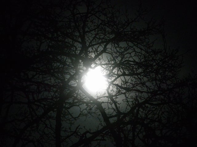 The full moon in Sussex. by Kate Shemilt. SUS-201101-205536008