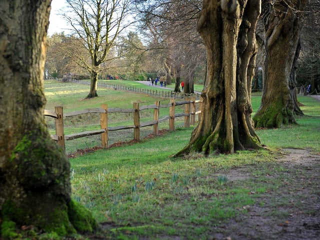 Nymans Gardens, Handcross. Pic Steve Robards. SUS-201201-194723001
