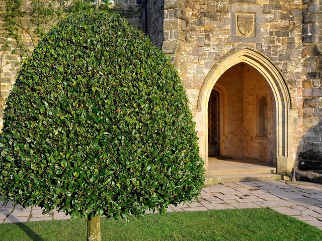 Nymans Gardens, Handcross. Pic Steve Robards. SUS-201201-194842001