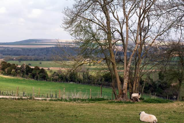 Downland viewed from near South Stoke. Picture: Malcolm McCluskey G13449H9