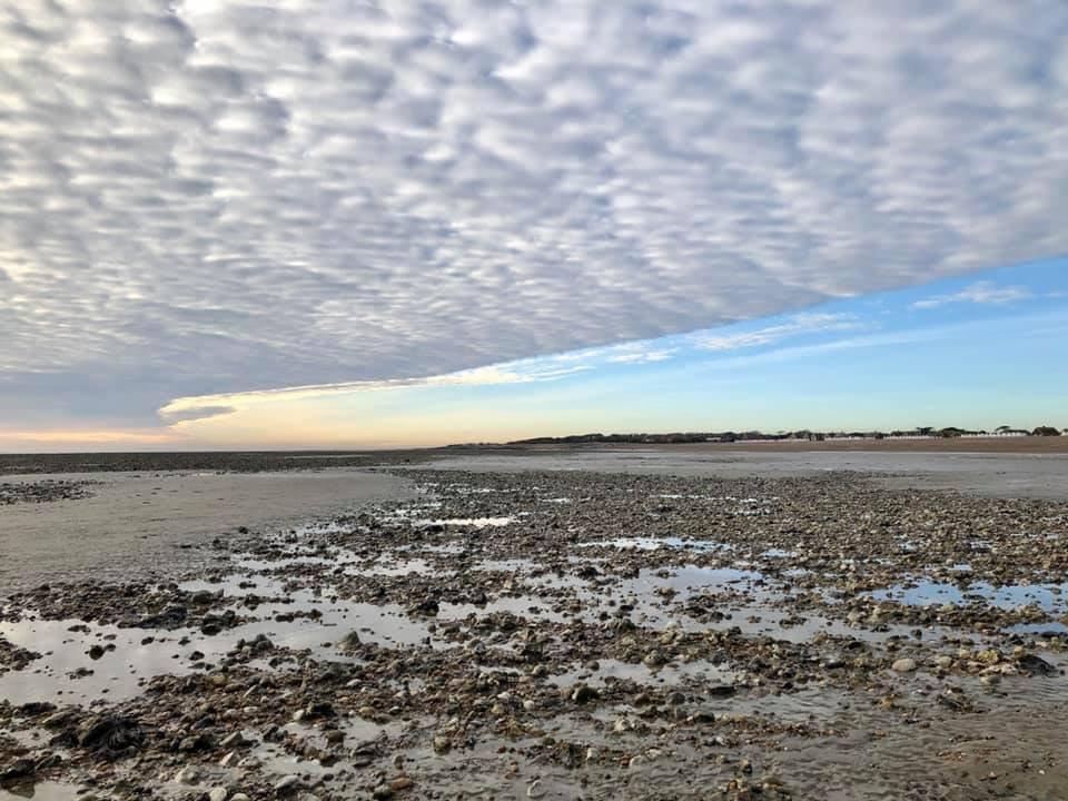 Goring Seafront.  Picture: Rowena Claire