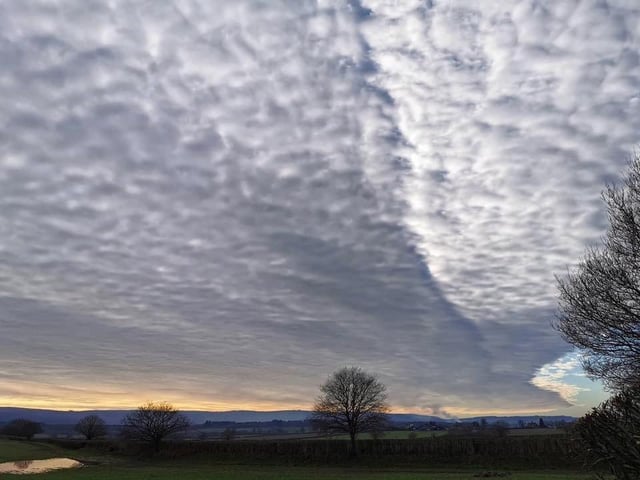 Lisa Dunn also snapped this image of the  South Downs near Tillington