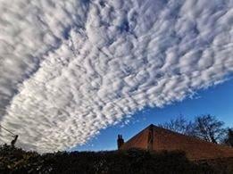 A stunning picture of Petworth taken by Lisa Dunn