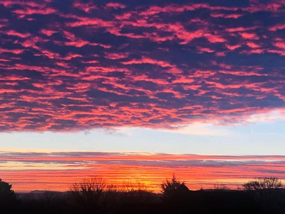 This stunning image was taken by Rosa Teles Woodrow