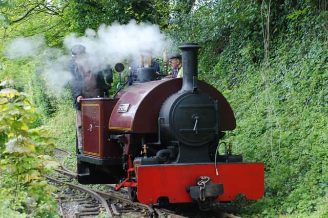 101-year-old narrow-gauge steam engine Peter at Amberley Museum