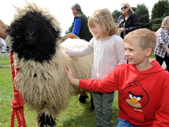 The annual Spring Live! show will take place at South of England Showground, Selsfield Road, Ardingly RH17 6TL from Saturday, May 2 to Sunday, May 3. Last year, more than 15,000 visitors attended to celebrate the best of springtime living and enjoy a host of activities.
Younger visitors were eager to participate in the wand-making workshop, medieval games (with jesters on hand to help), animal meet and greets and funfair. They were also entertained by the maypole dancing display the first time many of the children had witnessed and taken part in the traditional celebratory seasonal dance. Teenagers enjoyed taking part in the archery and axe throwing and even tried their hand at Segway driving and the climbing wall.