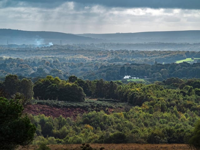South Downs Classic, an annual bike ride, starts at Plumpton on Saturday, September 5.
The route goes through the Sussex Downs, through of tree covered lanes, smooth terrain, wonderful scenery in the Ashdown Forest and some epic climbs and descents. Starting out at Plumpton Racecourse, riders will start by heading north east on country lanes before moving on to the more difficult sections of the course, passing through the many well kept villages of the Sussex downs.
The ride will end with the Ditchling Beacon, a rewarding descent back to the bottom, and a well-earned medal.