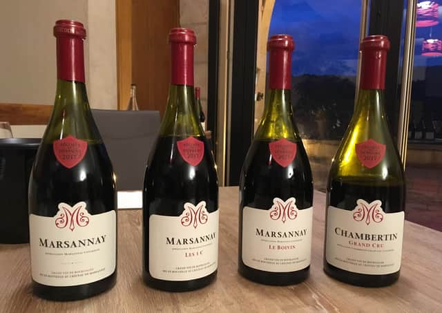 Wine Tasting at Chateau de Marsannay