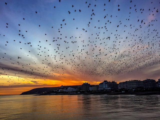 Murmuration of starlings flying over Eastbourne pier, photographed in the early evening of Saturday January 18, by John Stillwell. SUS-200122-154111001