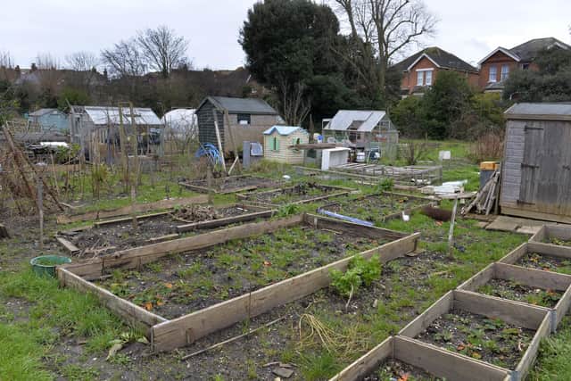 Eastbourne Allotments and gardens society in Gorringe Road, Eastbourne (Photo by Jon Rigby) SUS-200113-120302008