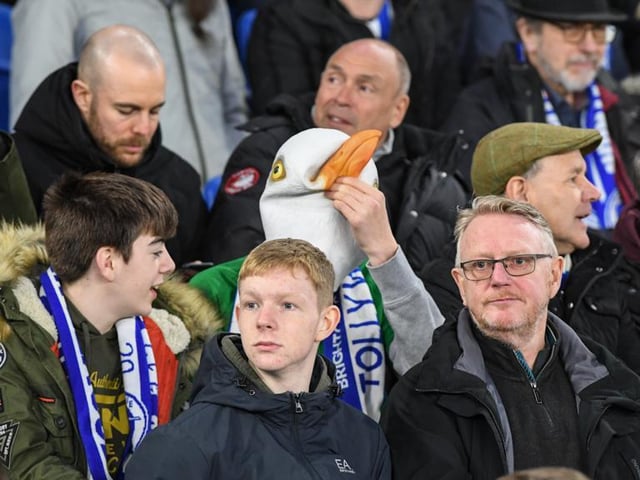 Brighton vs Watford