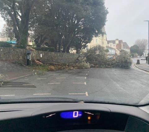 Storm Ciara caused destruction in some parts of Eastbourne yesterday - Photo by Jamie Cornford SUS-201002-123737001