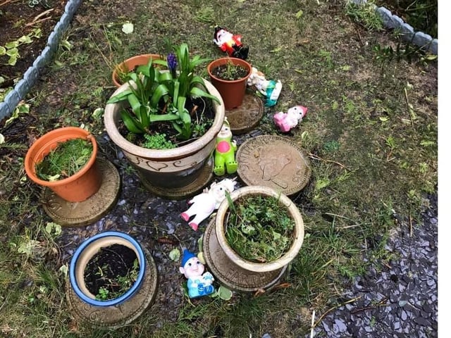 These gnomes couldn't stand the wind SUS-200216-143625001