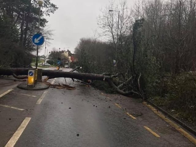 A tree blocked the A21 north of Hastings for several hours SUS-200216-143515001